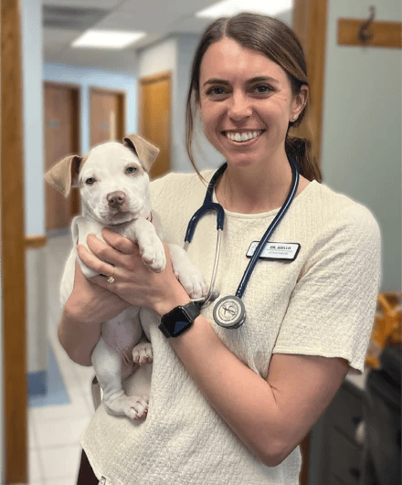 Dr. Taylor White - Veterinarian at Madison Veterinary Hospital