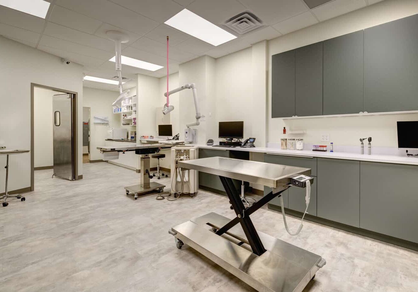 Modern veterinary clinic interior